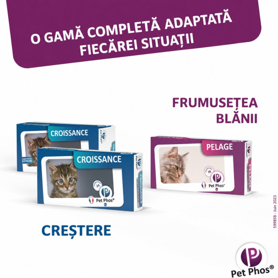 Pet Phos Felin Pelage Ceva - Supliment Pentru Pisici 3x12 Tablete